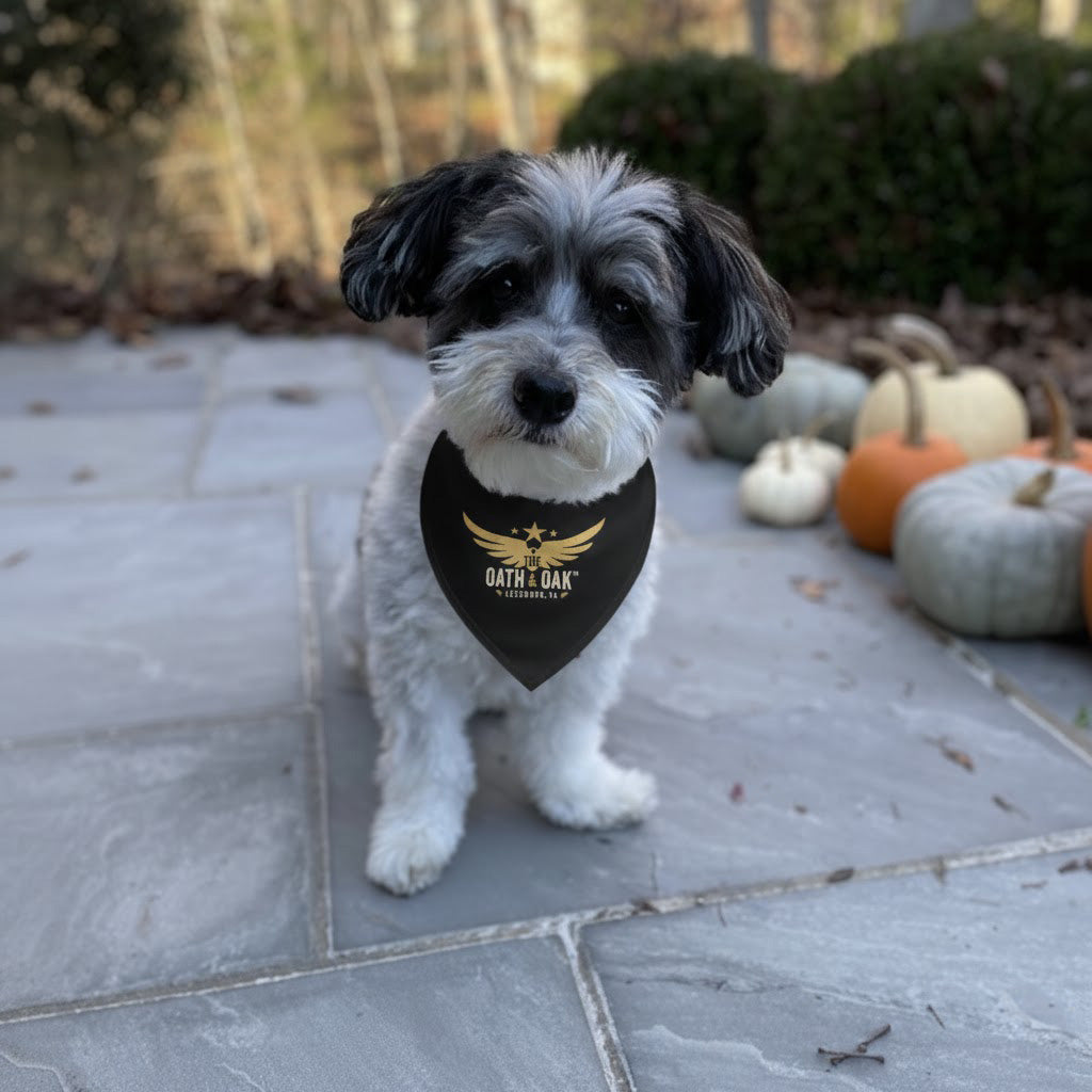 Outpost Pet Bandana Collar